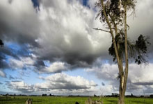 新手科普：什么是草榴邀请码？详解获取方式与作用