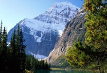 获取草榴邀请码、小草邀请码及1024邀请码的指南